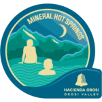 seal_hotspings_night